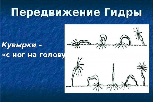 Kraken россия